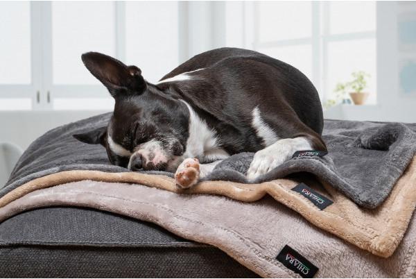 Actual product image Chiara Soft Fleece-plaid (Cat, Dog)