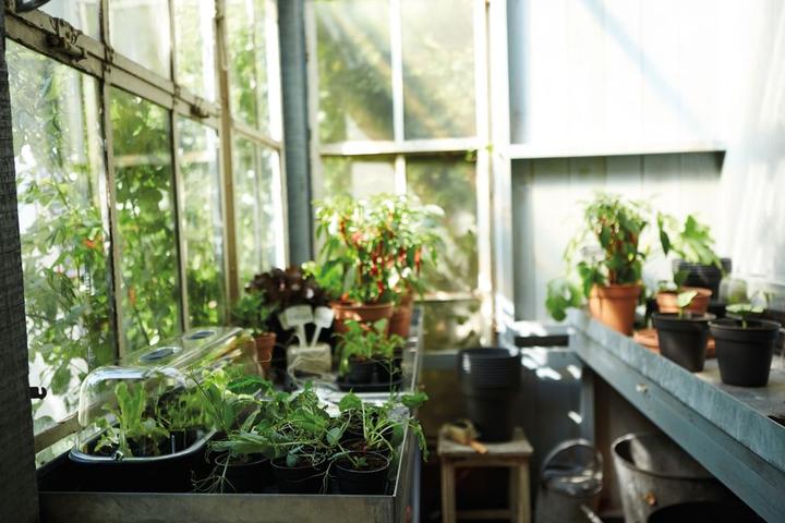 Image du produit Elho Jeu de pots de propagation Greenbasics