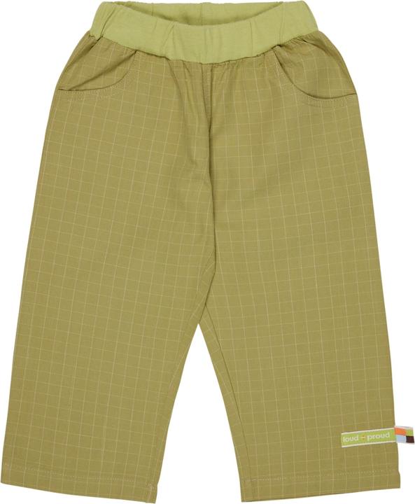 loud + proud Fine check trousers