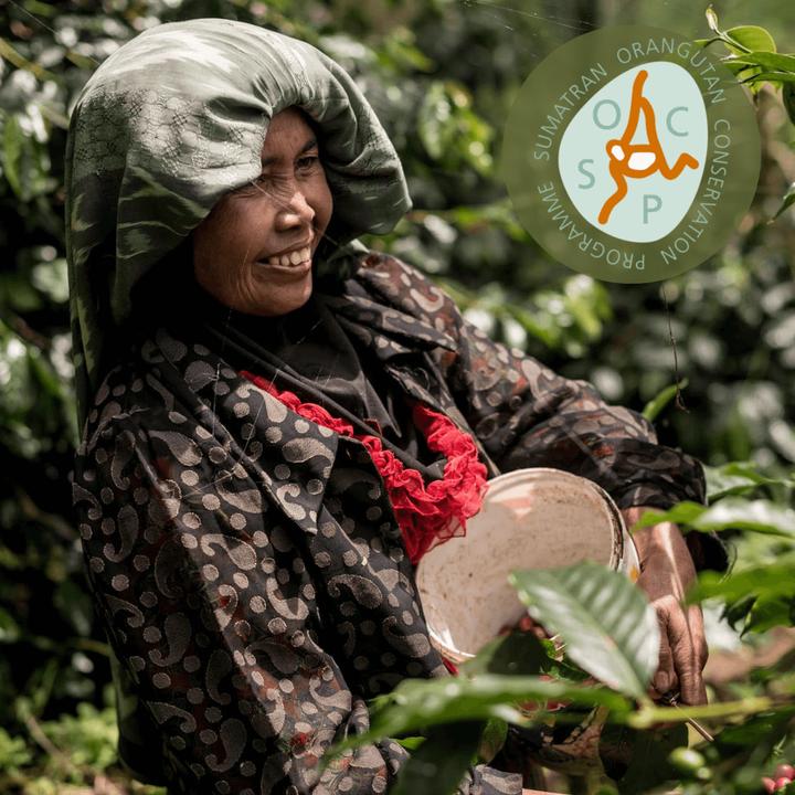 Actual product image Tropical Mountains SUMATRA Orang Utan Coffee (1000 g, Medium roast)