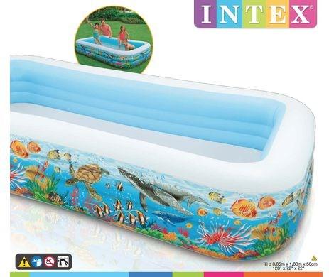 Actual product image Intex Tropical Reef Family
