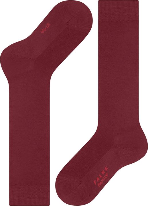 Produktbild Falke Family KH (Einzelpack, 31 - 34)