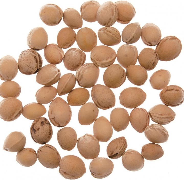 Immagine prodotto Glorex Noccioli di ciliegia 500 g