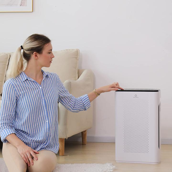 Actual product image Airthereal APH260 HEPA