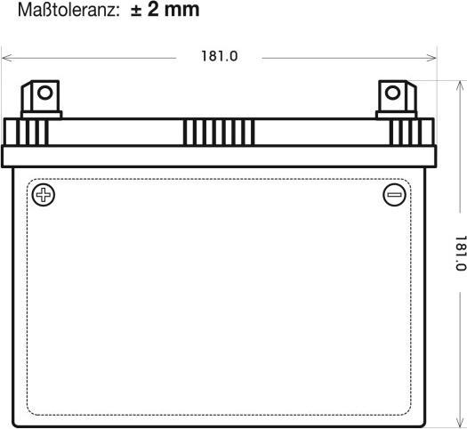 Actual product image Panther Batterien Lawn tractor battery AGM 53034 12V 32Ah (12 V, 32 Ah)