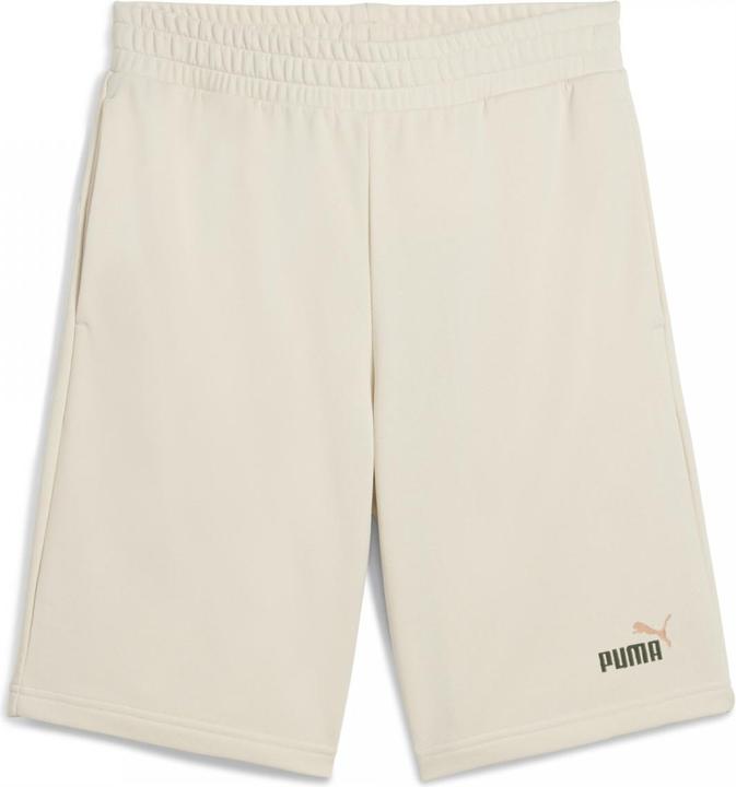 Image du produit Puma ESS 2 COLOR No. 1 Logo Shorts 10" TR (XXL)