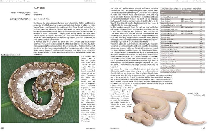 Produktbild Python regius (Deutsch, Stefan Broghammer, 2025)