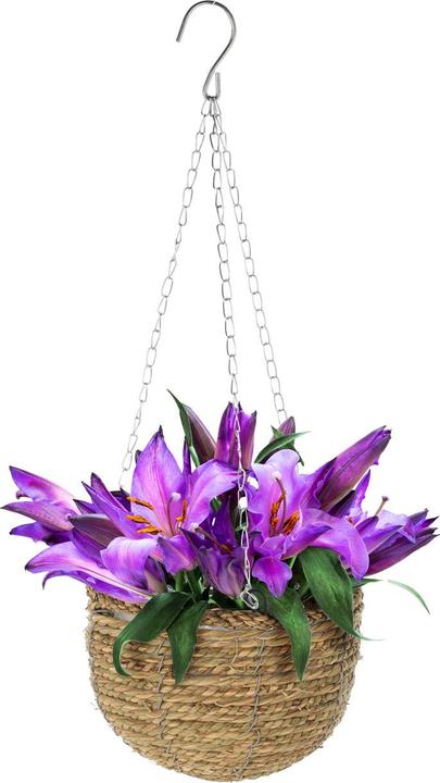 Immagine prodotto Natura Punto Set di 3 vasi da fiori sospesi in salice