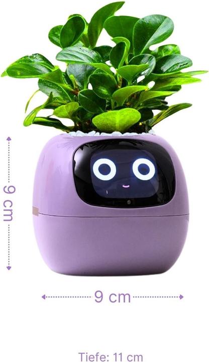 Actual product image Hermex Ivy Smart Planter (11 cm)