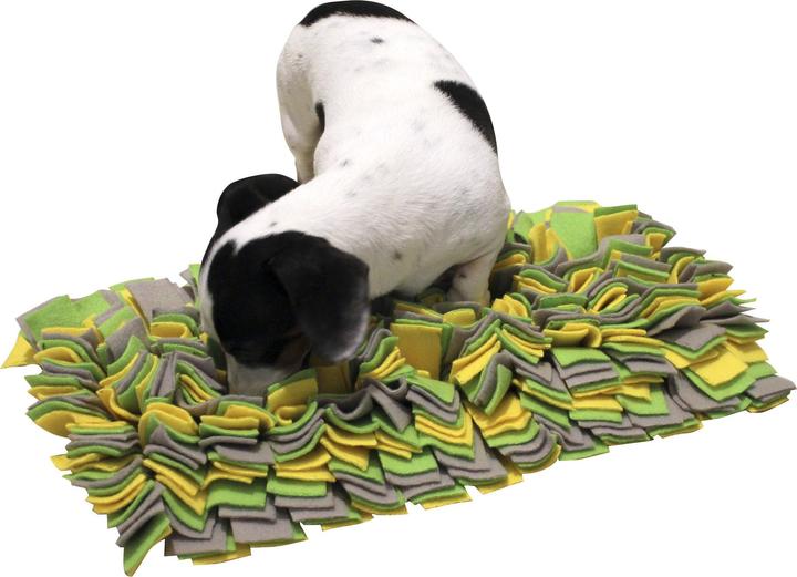 Immagine prodotto Kerbl Schnüffelteppich (Intelligenza cane toy)