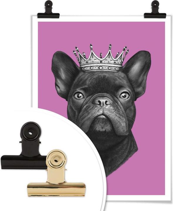 Actual product image Trenddeko King French Bulldog pink (50 x 60 cm)