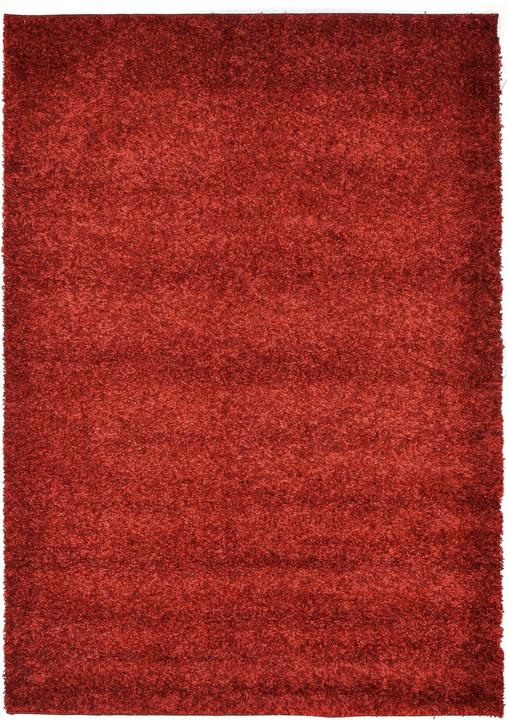 Image du produit Hadorn 120x80 - Shaggy - Édition limitée (120 x 80 cm)