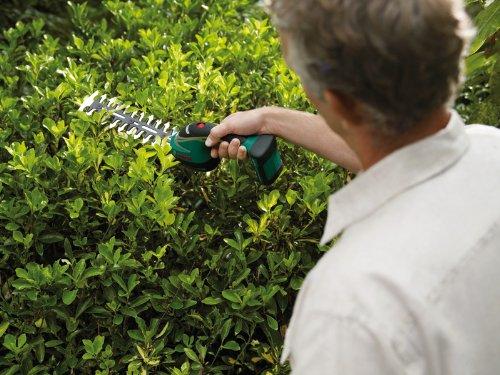 Produktbild Bosch Home & Garden ASB 10.8 LI Set (Akkuheckenschere)