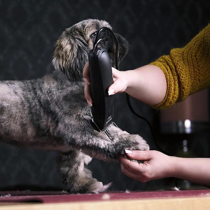 Produktbild Agrarzone Schermaschine (Katze, Hund)