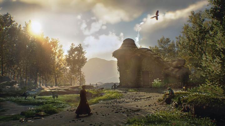 Productafbeelding WB Hogwarts Legacy (Switch, DE, FR)