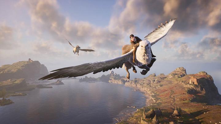Productafbeelding WB Hogwarts Legacy (Switch, DE, FR)
