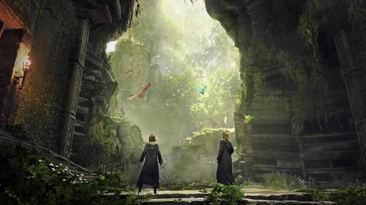 Productafbeelding WB Hogwarts Legacy (Switch, DE, FR)