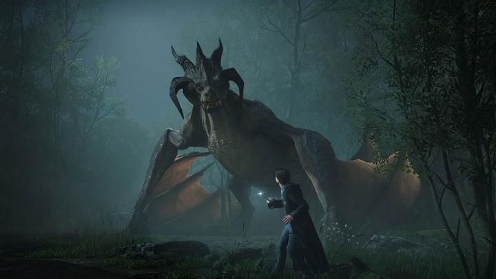 Productafbeelding WB Hogwarts Legacy (Switch, DE, FR)
