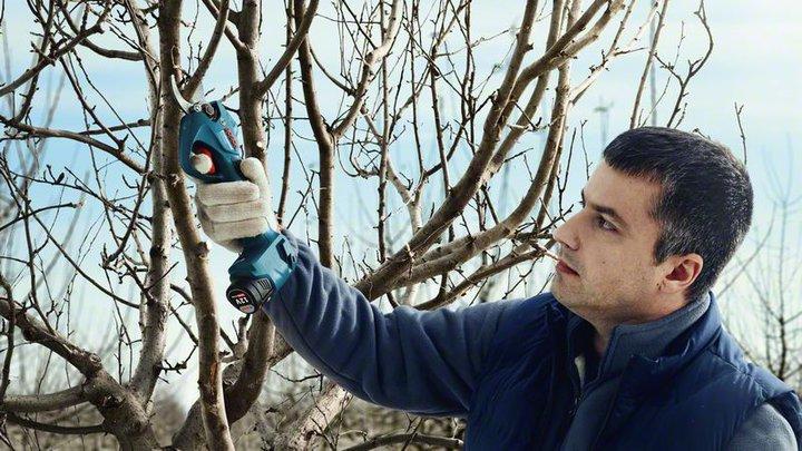 Produktbild Bosch Professional Pro Pruner