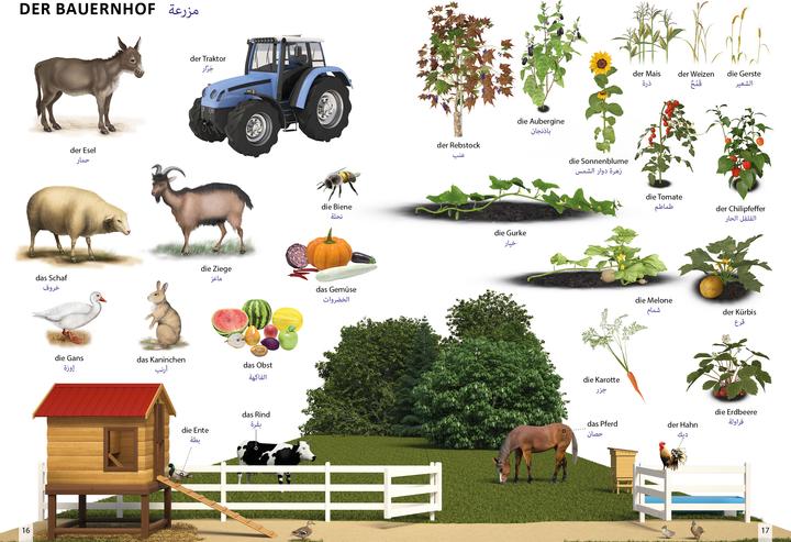 Produktbild Bildwörterbuch für Kinder und Eltern Ar (Deutsch, Arabisch, Igor Jourist, 2024)