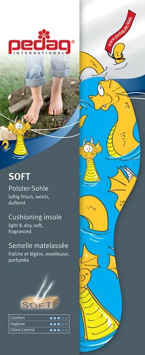 Pedag Soft Kids