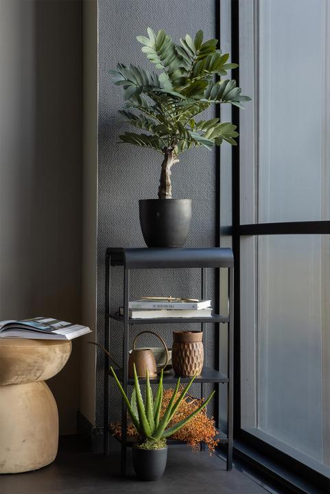 Produktbild Woood Zamia (61 cm)