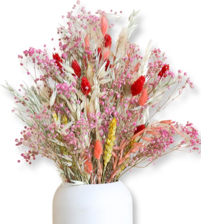 la fleur douce Trockenblumen Harmony (Trockenblumen)
