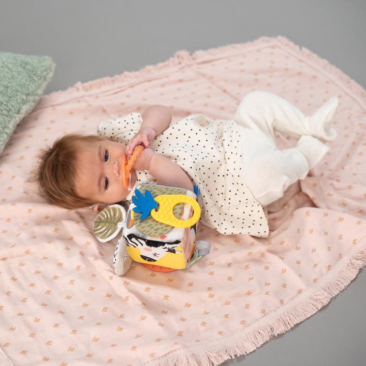 Actual product image Taf Toys Savannah discovery cube