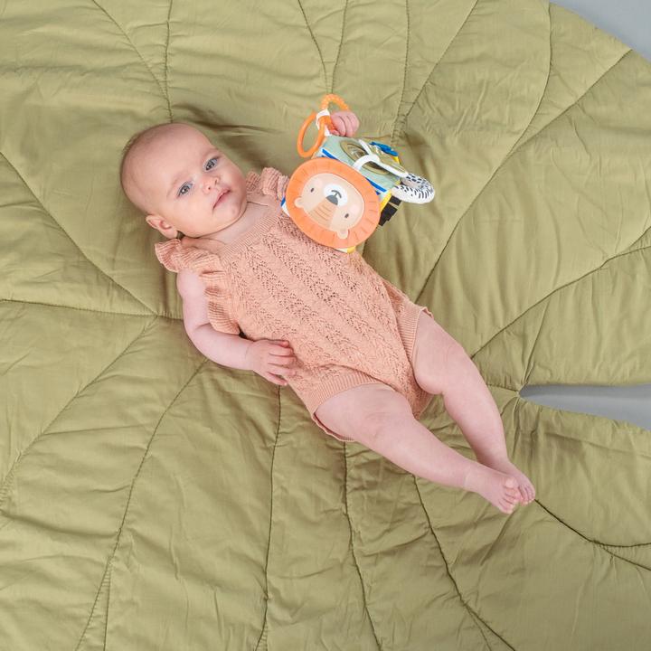 Actual product image Taf Toys Savannah discovery cube