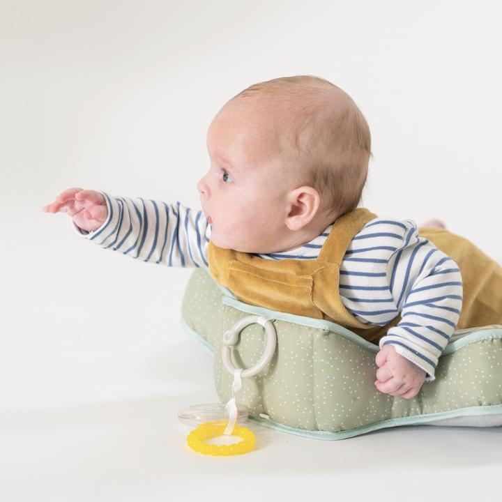 Image du produit Taf Toys Coussin exercice Savannah