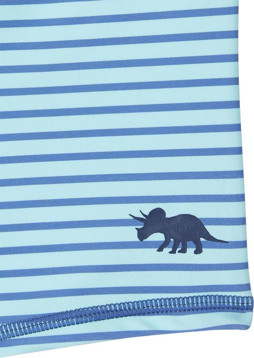 Produktbild Vertbaudet 2er-Pack Jungen Boardshorts mit Dinos (140)