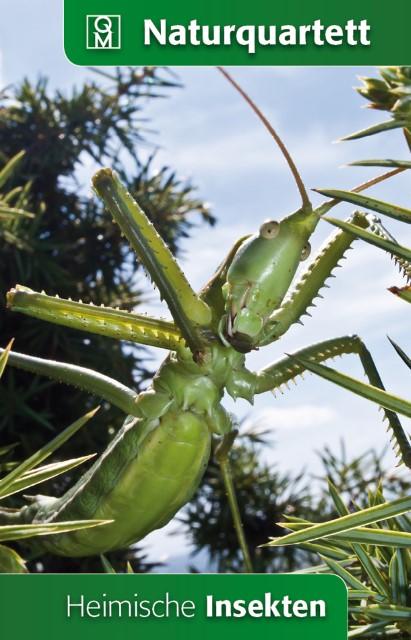 Actual product image Native insects (German)