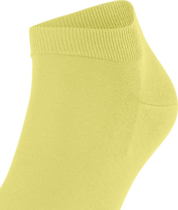 Produktbild Falke ClimaWool Herren (41 - 42)