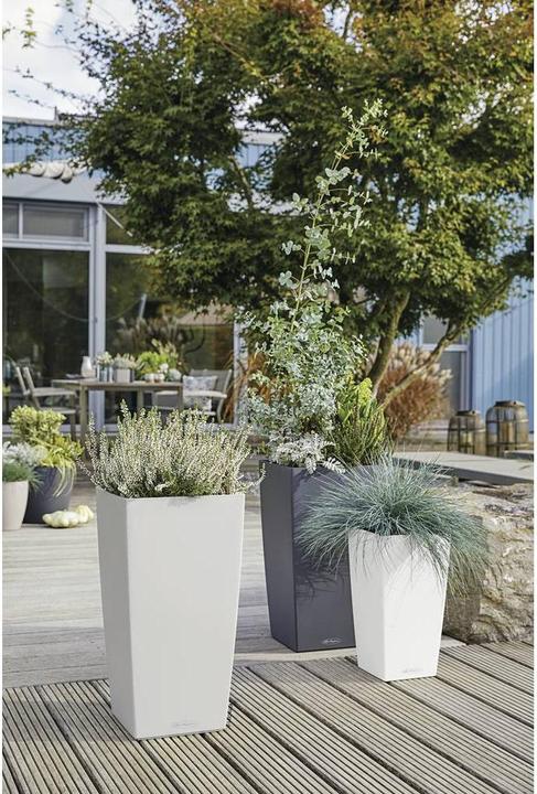 Image du produit Lechuza Cubico Color (39.50 cm)