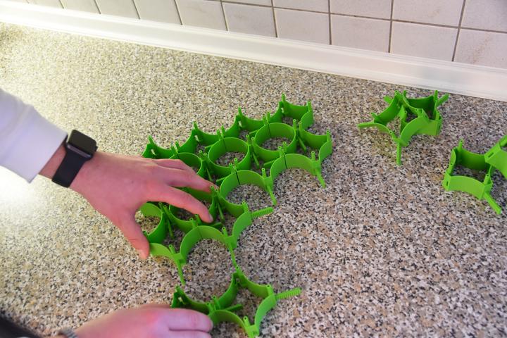 Immagine prodotto Froli Porta tutto, set di 16, verde