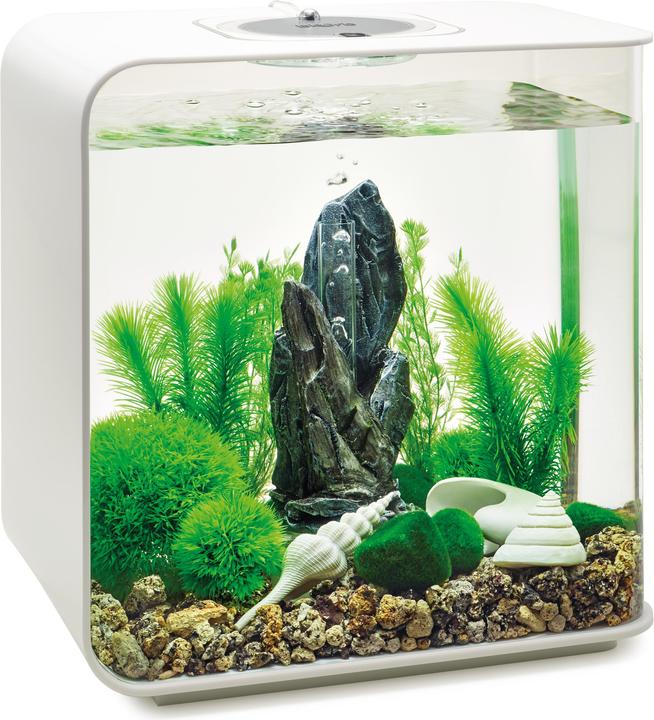 Immagine prodotto Oase Set di decorazioni per l'acquario biOrb 30 (Decorazione, altre voci)