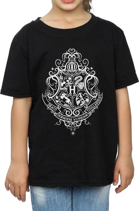 Image du produit - T-shirt HOGWARTS DRACO DORMIENS CREST - Fille (116)
