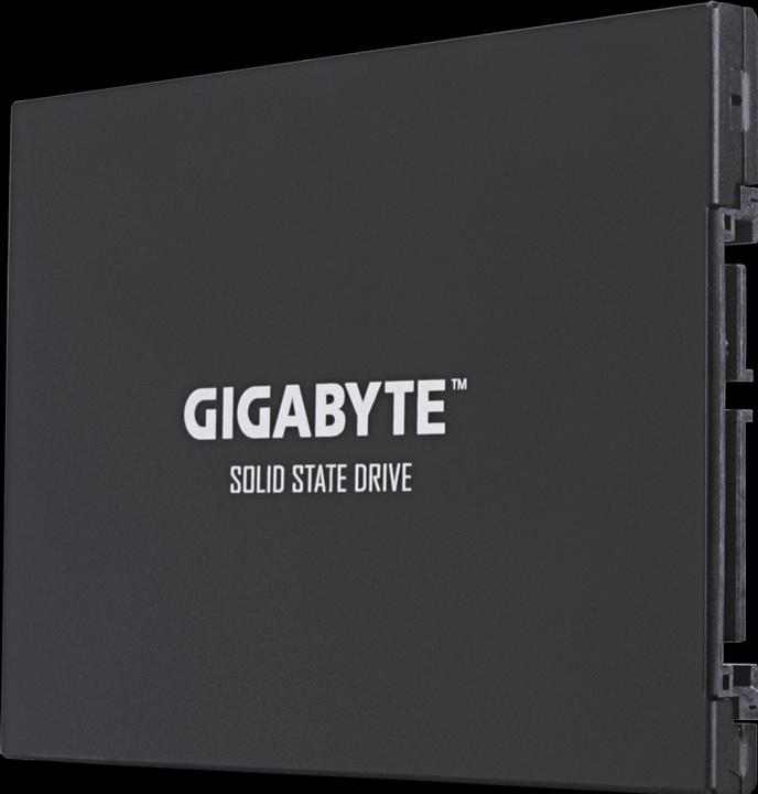 Image du produit Gigabyte GP-GSTFS30256GTTD (256 Go, 2.5")