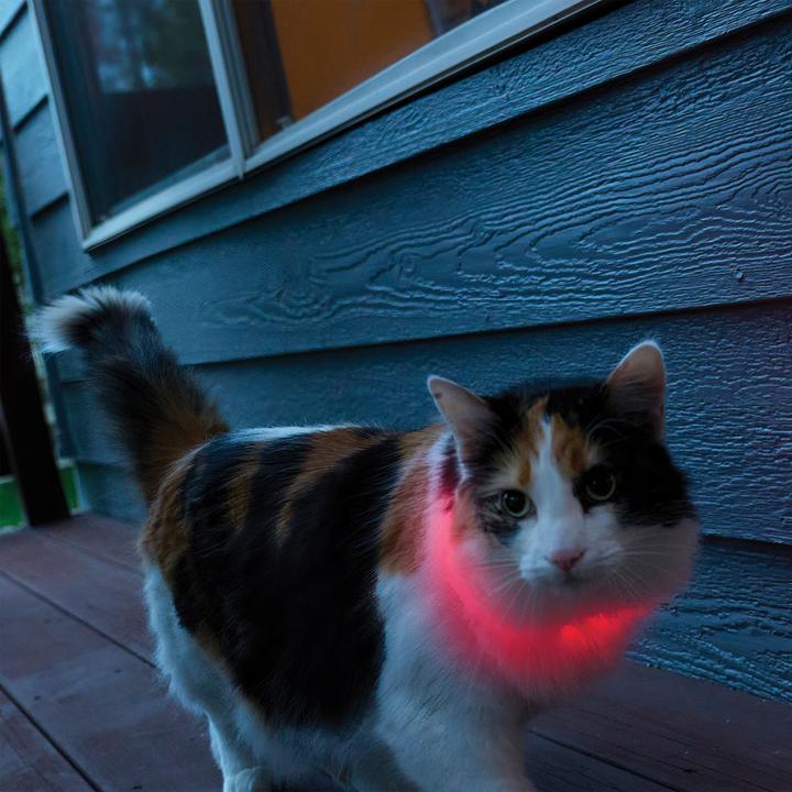 Produktbild Nite Ize NiteMeow LED-Sicherheitshalsband (Katze, Allgemein)