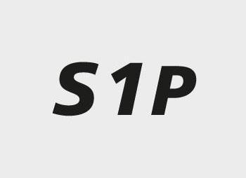 Produktbild Baak Sicherheitssandale S1P ESD René 2 (S1P, 45)