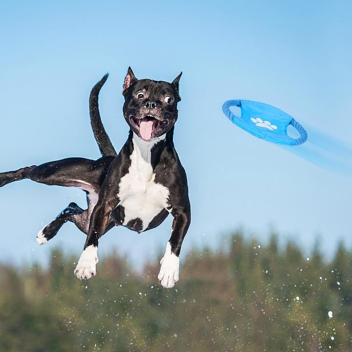 Produktbild Relaxdays Hundespielzeug Set (Plüschspielzeug Hund)