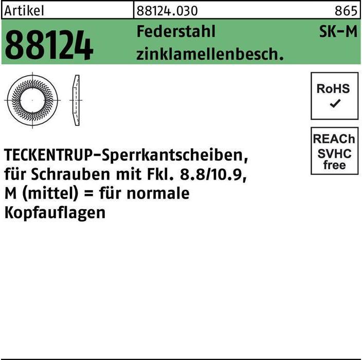 Image du produit Teckentrup Rondelle de blocage R 88124 M 16x32,5 x2,5 Acier à ressort revêtu de zinc lamellaire