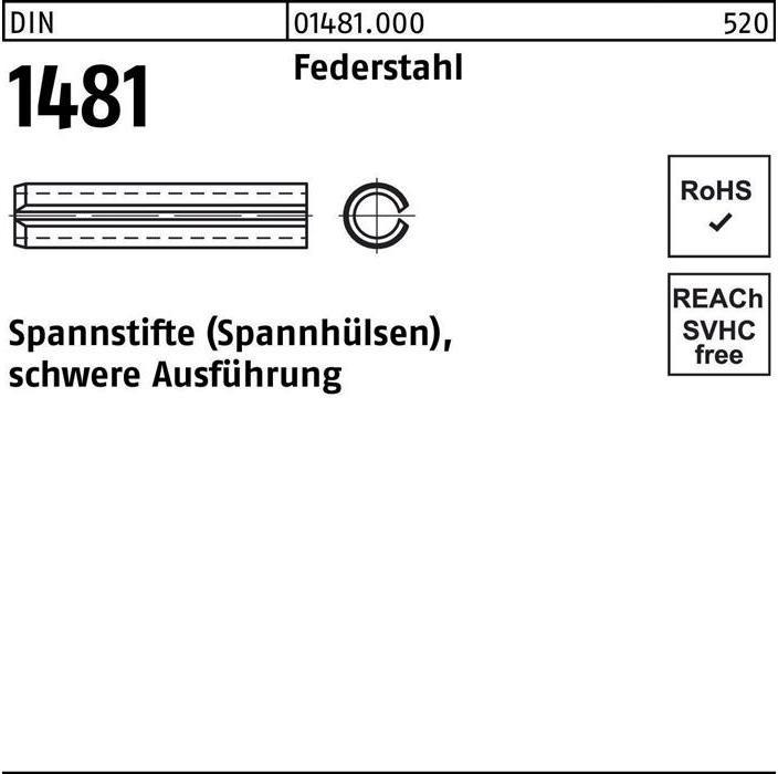 Image du produit DIN 1481/ISO 8752