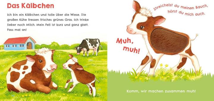 Produktbild Hör mal, wie ich schnattern kann (Mein erstes Streichel-Soundbuch 1) (Deutsch)