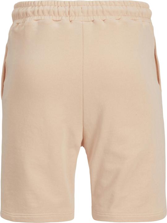 Immagine prodotto Jack & Jones Regular Fit Shorts Shorts (M)