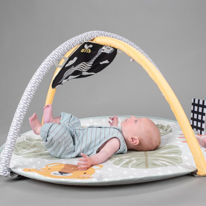 Actual product image Taf Toys Savannah