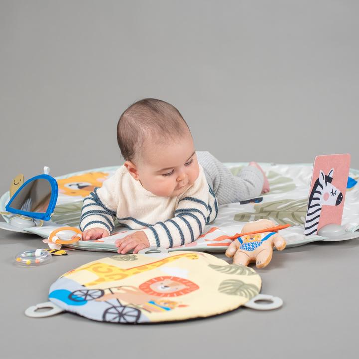 Actual product image Taf Toys Savannah