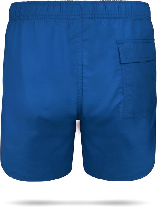 Actual product image Normani Coastline swim shorts (S)
