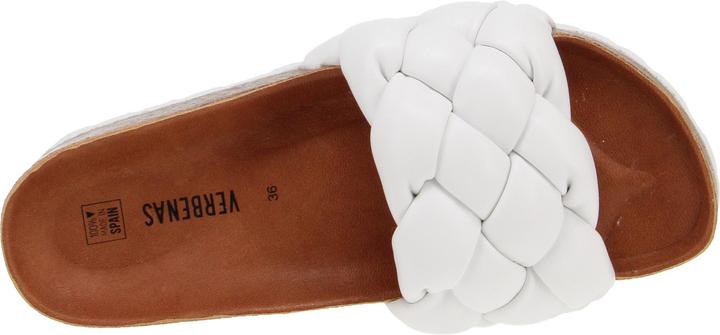 Actual product image Verbenas Rai (36)