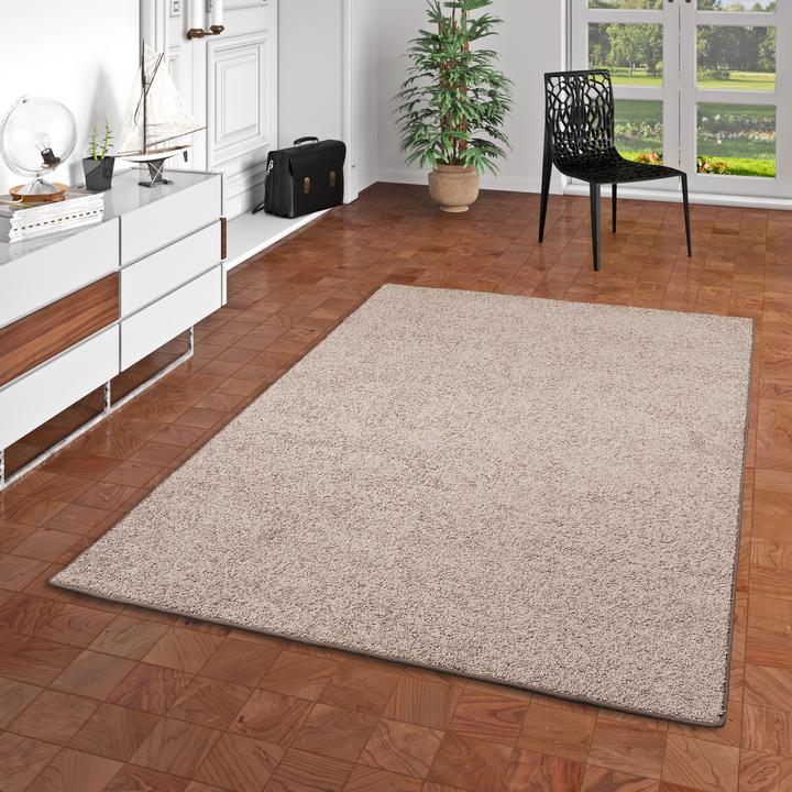 Produktbild Snapstyle Hochflor Velours Teppich Mona (160 x 160 cm)